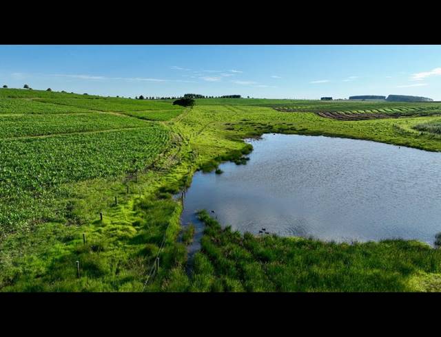 LAND FOR SALE IN MOUNT VERDE